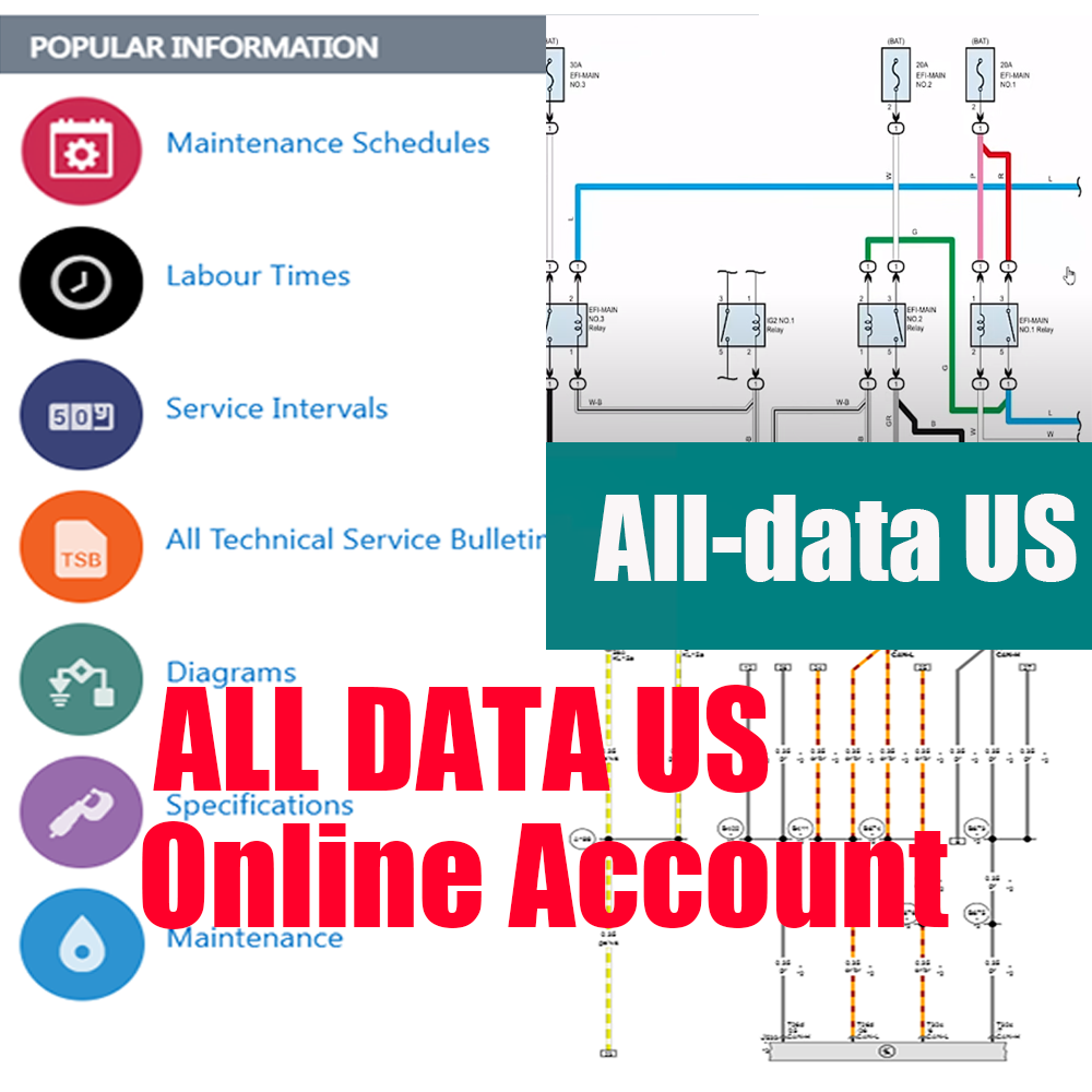 Software de Reparo Automotivo  - Workshop Tools Diagram avaliação e preço